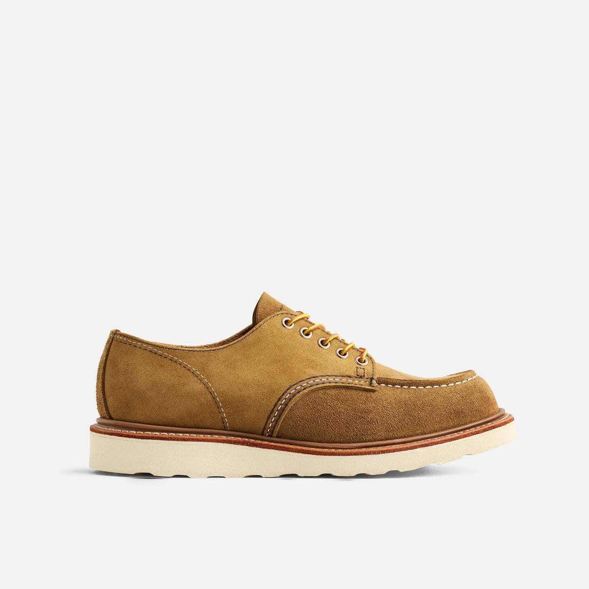 3113 - CAMEL MULTI
