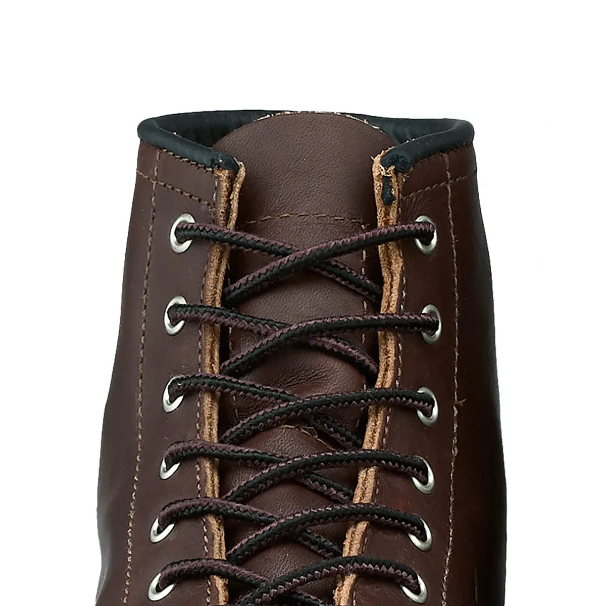 97145 63 TASLAN - BLACK/BROWN